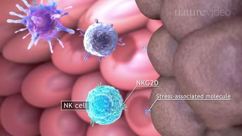 微信图片_20250716105421 微信图片_20250716105421