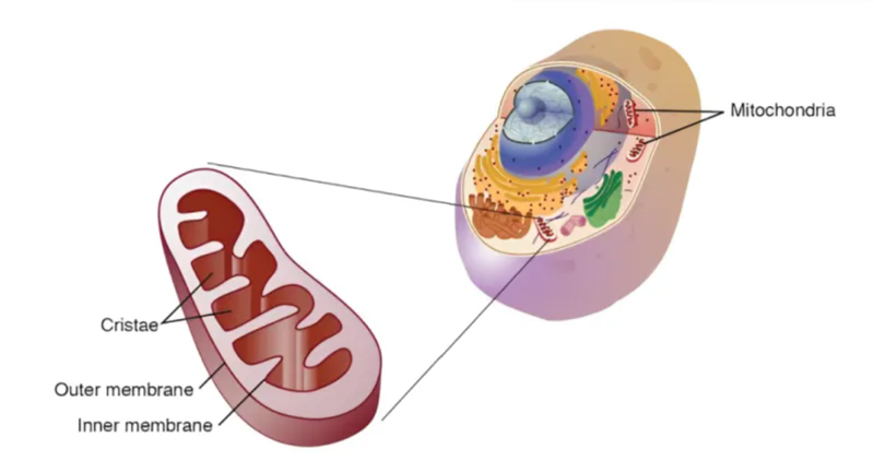 wechat_2025-08-13_163443_269