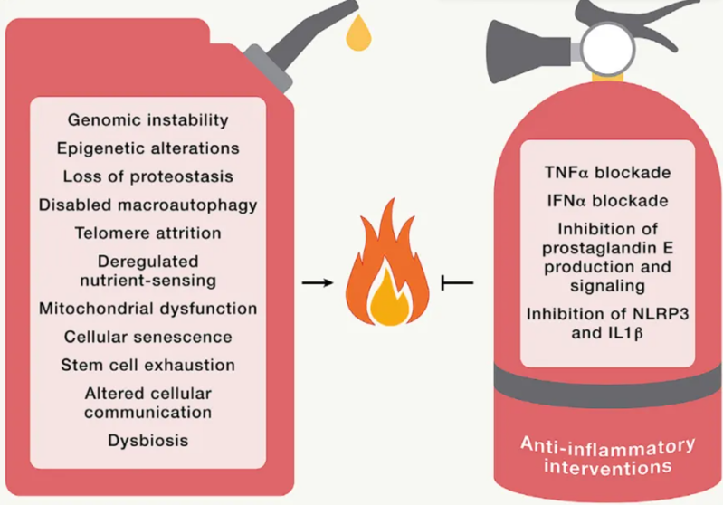wechat_2025-08-13_163917_974