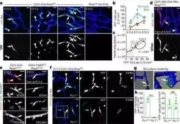 wechat_2025-08-21_143356_974 wechat_2025-08-21_143356_974