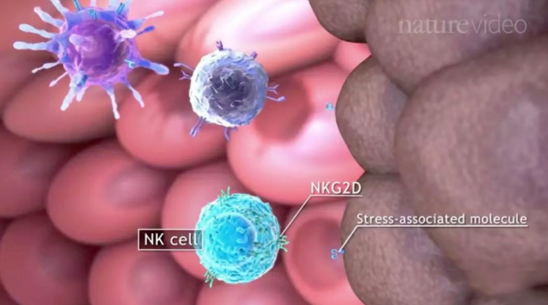 wechat_2025-08-21_144036_237