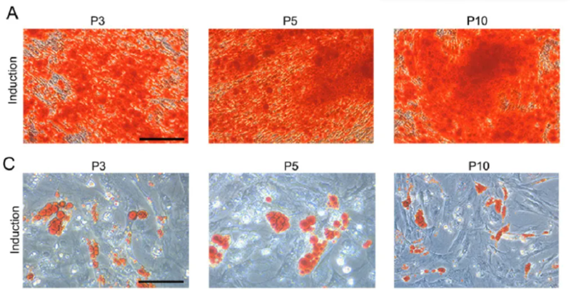 wechat_2025-09-12_151052_620 wechat_2025-09-12_151052_620